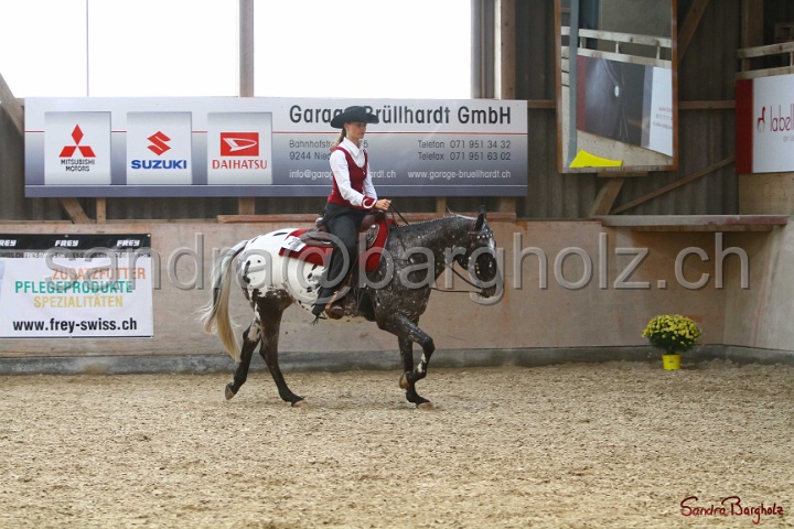 31-ApHC OWP_032.jpg